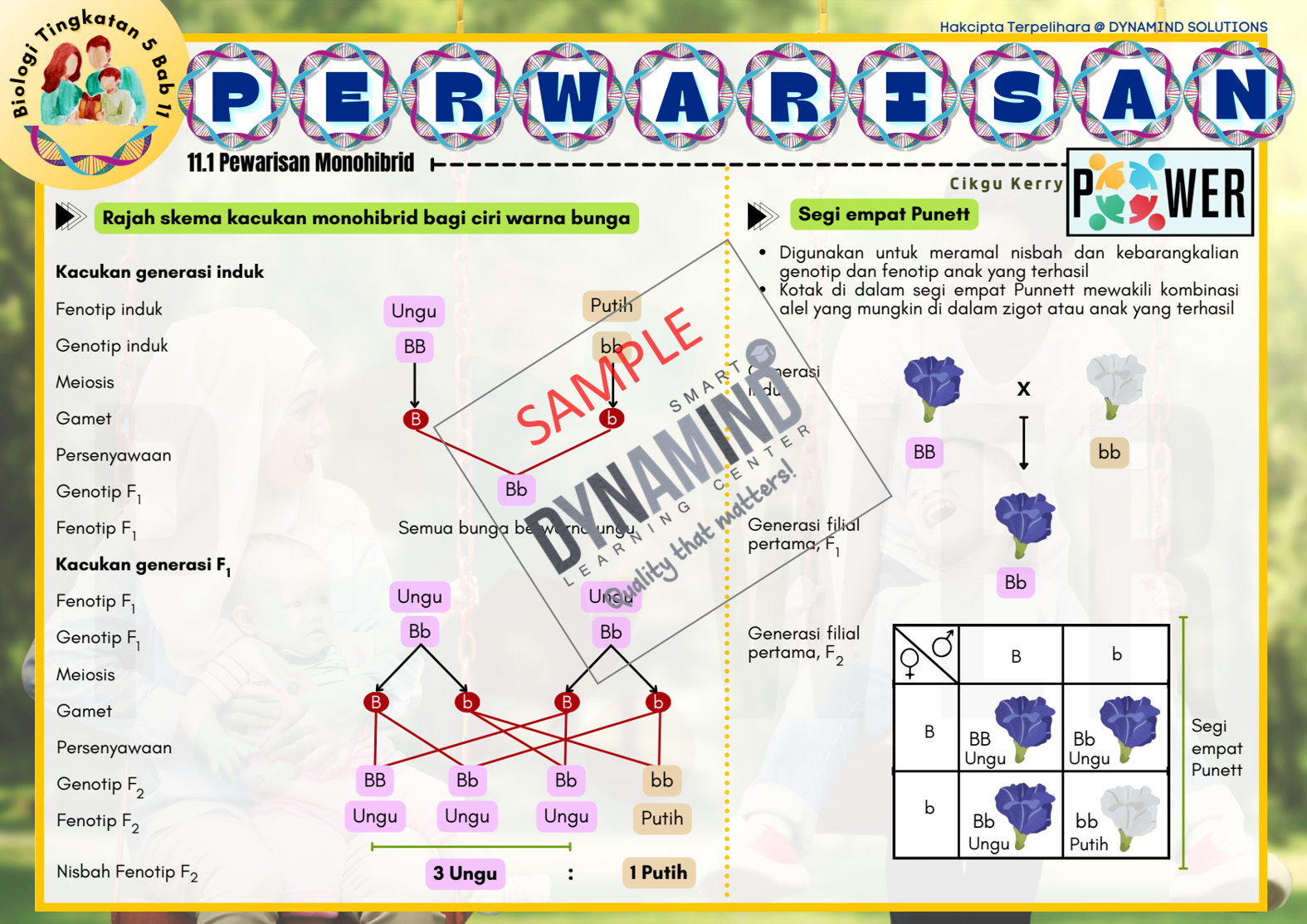Sampel 13 Pewarisan Enota Biology Tingkatan 5 Sampel 13 Pewarisan Enota Biology Tingkatan 5